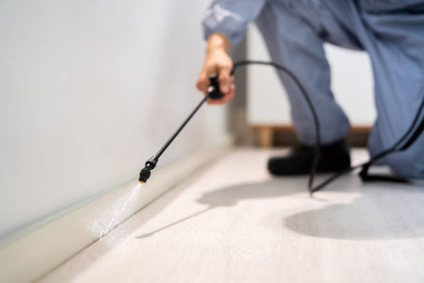 Licensed Pest Control service in Chickasha, OK - Show Me Pest Control