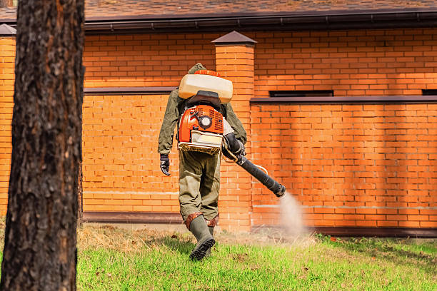 Bed Bug Clearance Verification and Documentation in Chickasha